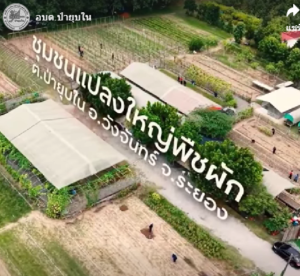 สวนจันอินทร์ แหล่งท่องเที่ยวเชิงเกษตร เที่ยวท้องถิ่น